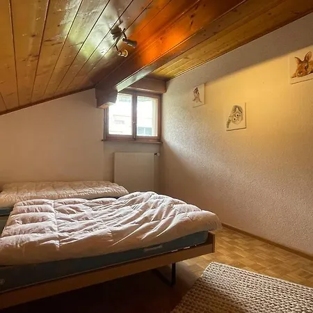 Apartment Spacieux, Situation Ideale Pour Visiter Le Valais *