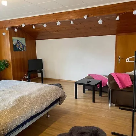 Spacieux, Situation Ideale Pour Visiter Le Valais *