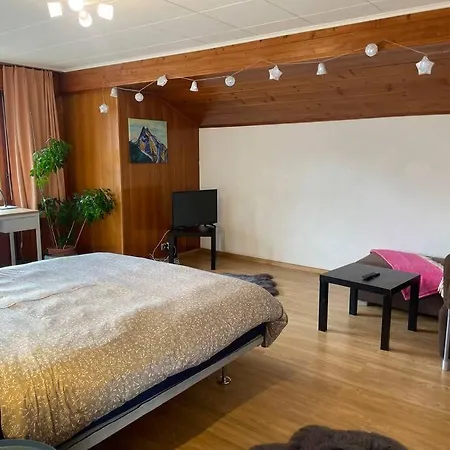 Besso Miege Spacieux, Situation Ideale Pour Visiter Le Valais דירה Veyras