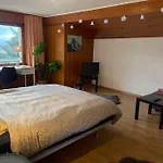 Besso Miege Spacieux, Situation Ideale Pour Visiter Le Valais *